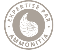 Expertisé par Ammonitia